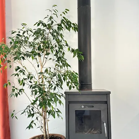 Domaine De La Blache Semesterbostad Saint-Jurs