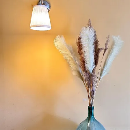 Domaine De La Blache *