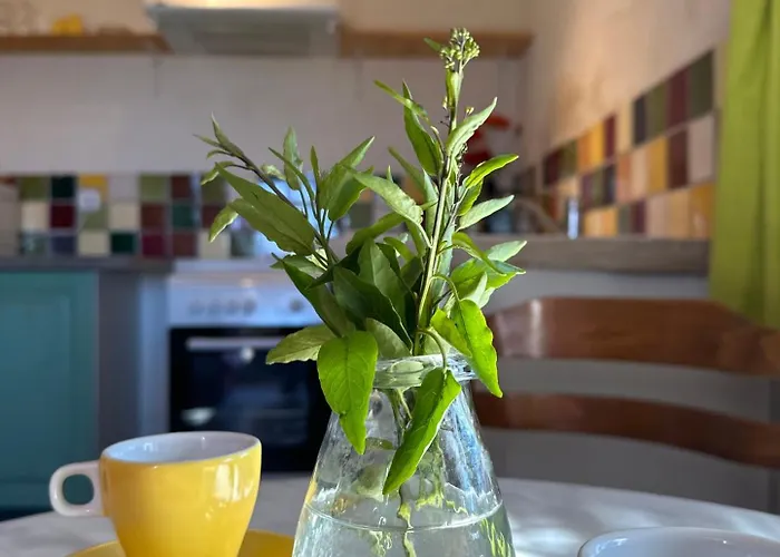 Domaine De La Blache Hébergement de vacances