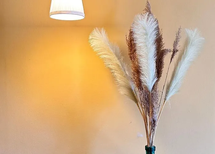 Domaine De La Blache *